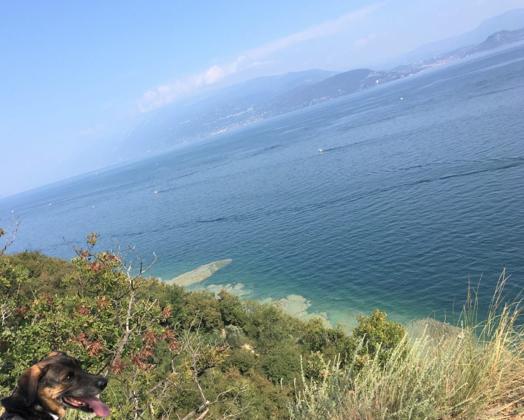 Manerba del Garda: Der Strand der Wichser 6