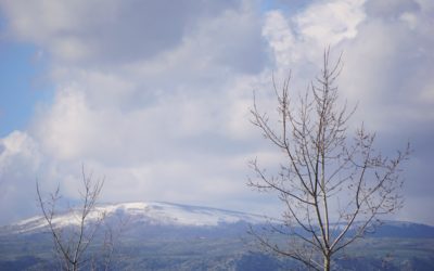 Steilküsten und Eichenwälder des Gargano: Italiens abwechslungsreicher Stiefelsporn
