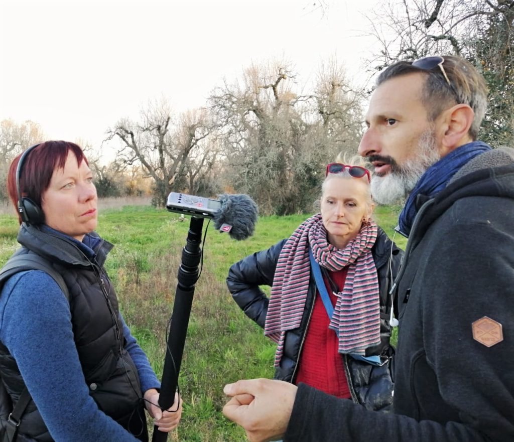 Olivenbäume in Not: Mit der Kettensäge gegen Xylella 6