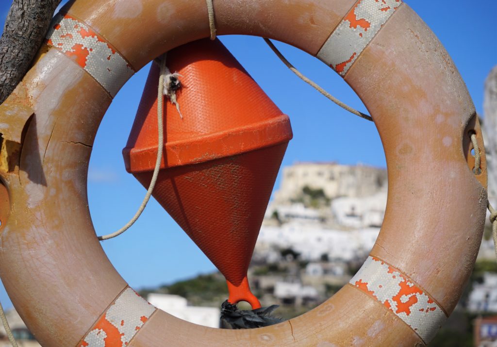 Steilküsten und Eichenwälder des Gargano: Italiens abwechslungsreicher Stiefelsporn 29