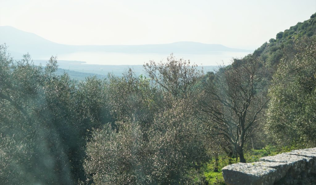 Steilküsten und Eichenwälder des Gargano: Italiens abwechslungsreicher Stiefelsporn 46