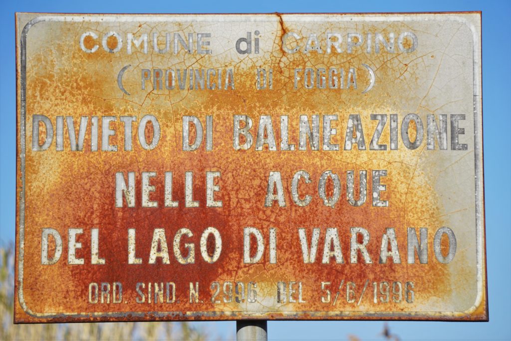Steilküsten und Eichenwälder des Gargano: Italiens abwechslungsreicher Stiefelsporn 47