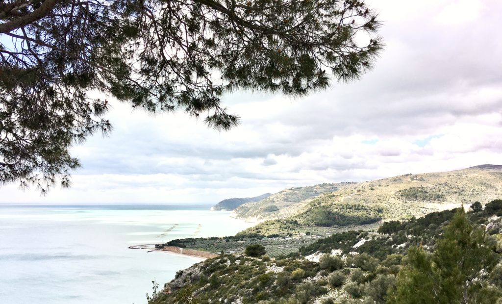 Steilküsten und Eichenwälder des Gargano: Italiens abwechslungsreicher Stiefelsporn 19