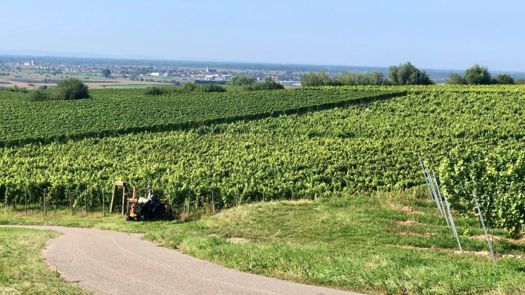 Obsthöfe, Weingüter und eine Schnapsbrennerei: Mit „Landvergnügen“ nach Luxemburg 31