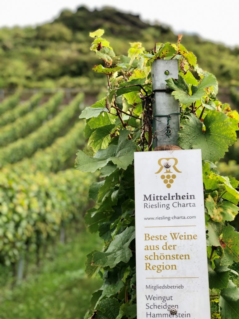 Obsthöfe, Weingüter und eine Schnapsbrennerei: Mit „Landvergnügen“ nach Luxemburg 56