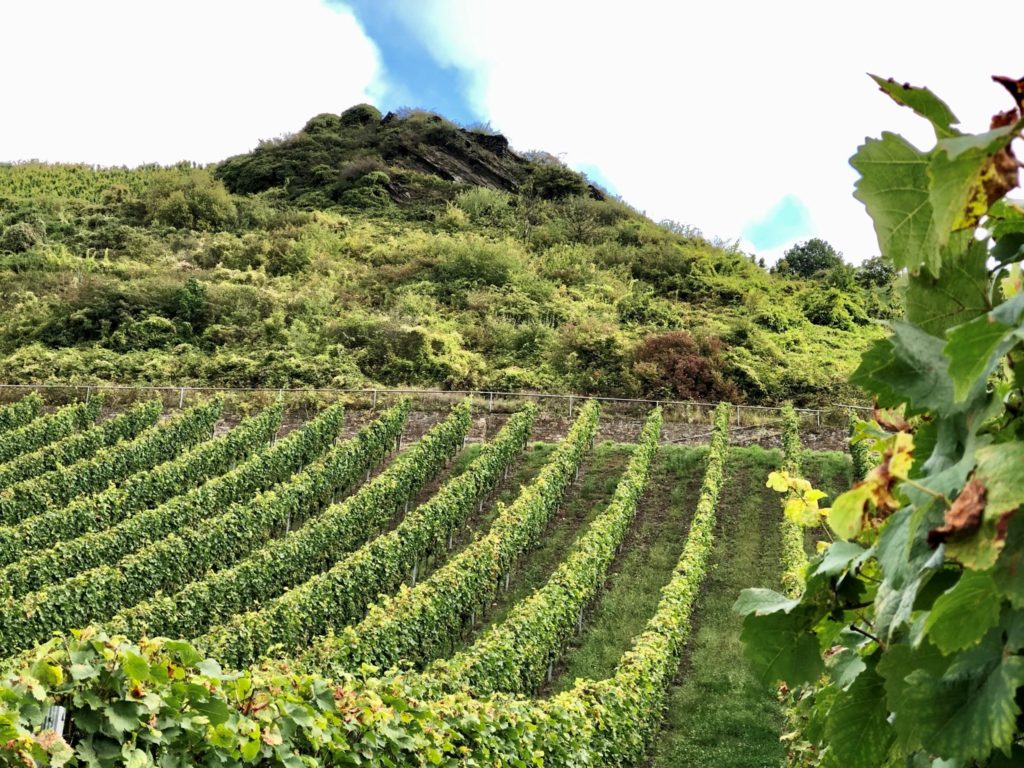 Obsthöfe, Weingüter und eine Schnapsbrennerei: Mit „Landvergnügen“ nach Luxemburg 57
