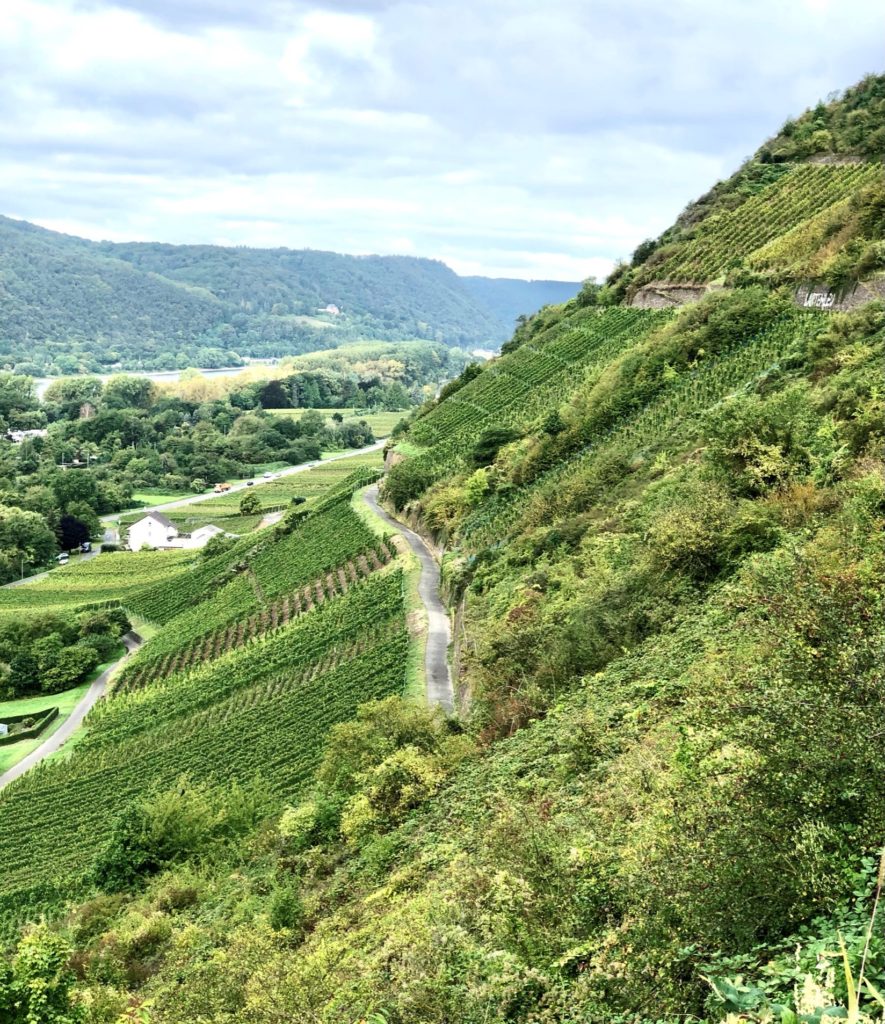 Obsthöfe, Weingüter und eine Schnapsbrennerei: Mit „Landvergnügen“ nach Luxemburg 58