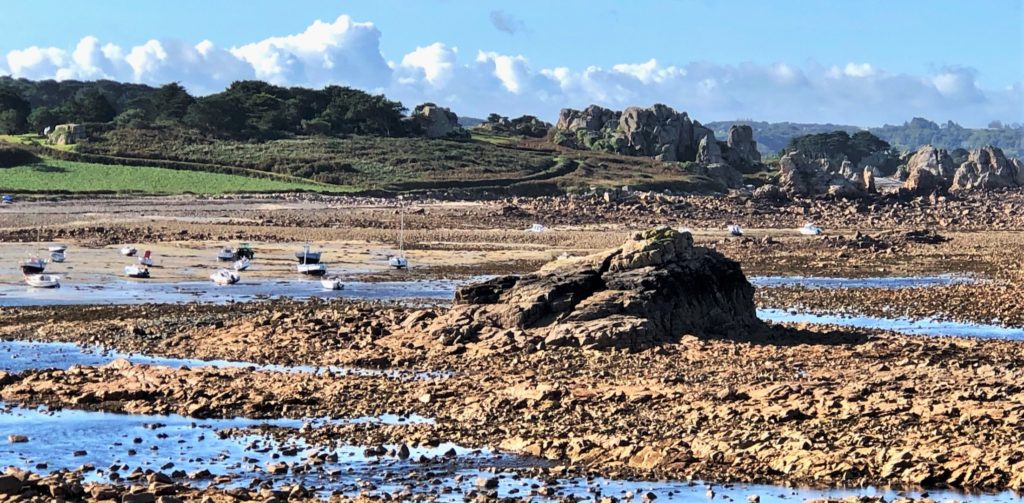Felsen, Wind und Heidekraut: Spontanverliebt in die Bretagne 40
