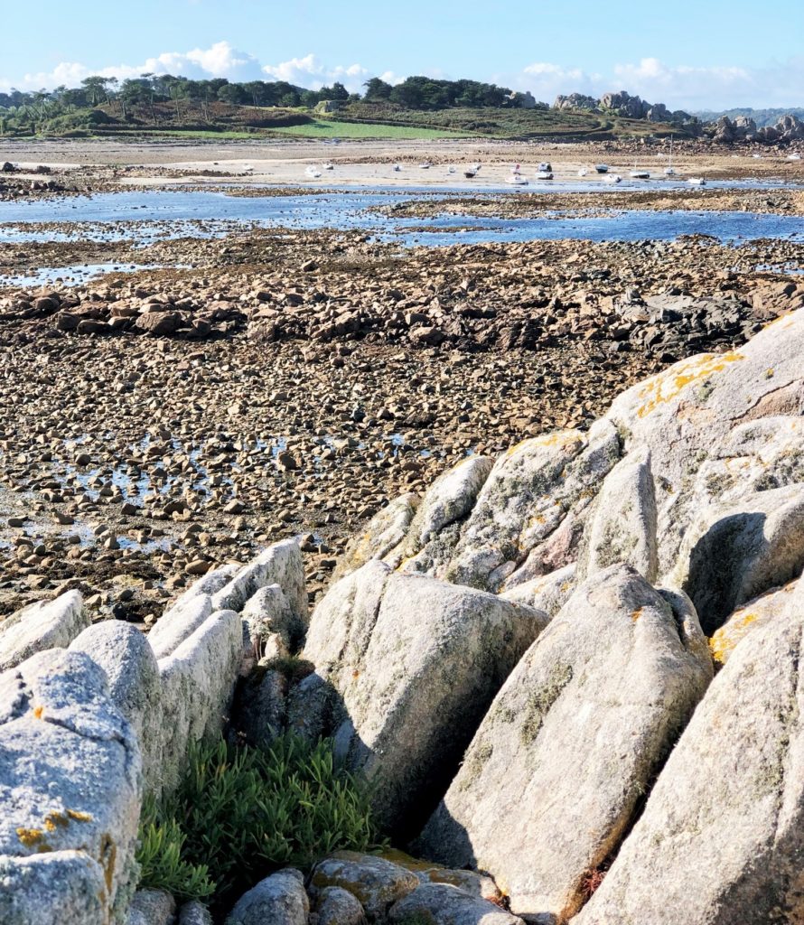 Felsen, Wind und Heidekraut: Spontanverliebt in die Bretagne 41