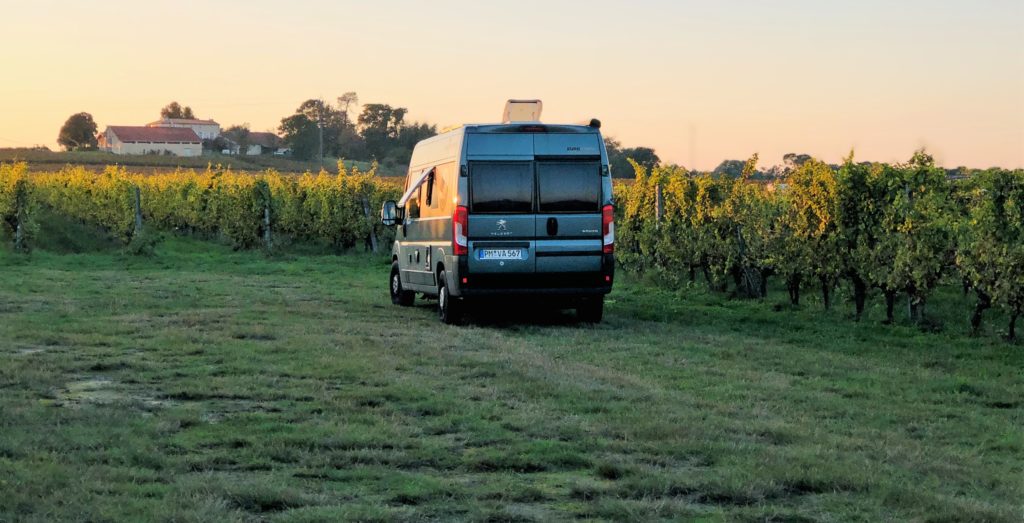 Grüne Revolution im Bordeaux? Recherche im berühmten Wein-Anbaugebiet 8