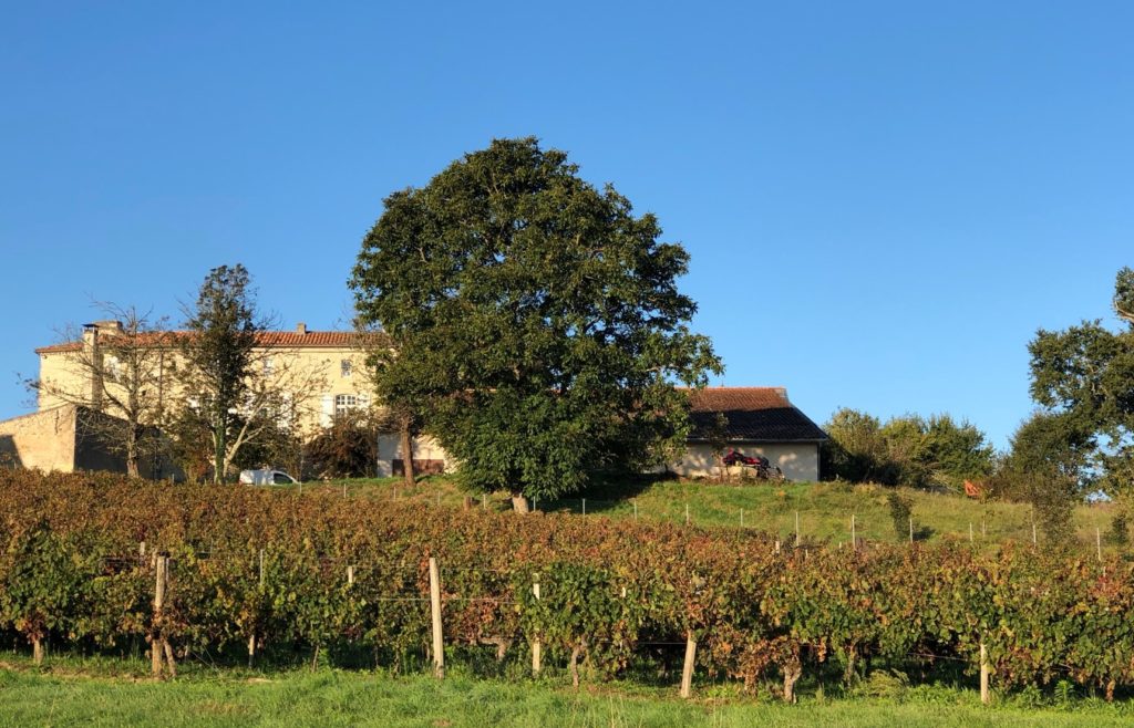 Grüne Revolution im Bordeaux? Recherche im berühmten Wein-Anbaugebiet 10