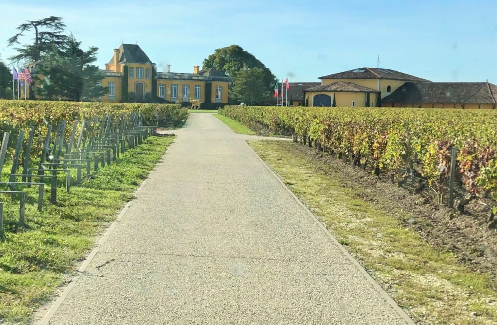 Grüne Revolution im Bordeaux? Recherche im berühmten Wein-Anbaugebiet 20