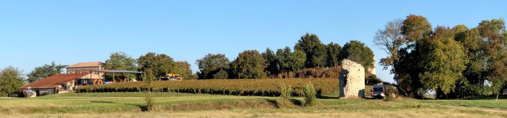 Grüne Revolution im Bordeaux? Recherche im berühmten Wein-Anbaugebiet 31