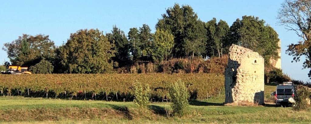 Grüne Revolution im Bordeaux? Recherche im berühmten Wein-Anbaugebiet 32