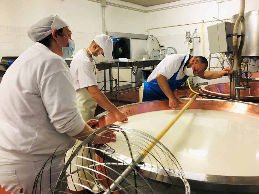 Einblicke in die Parmigiano Reggiano-Produktion auf der „Azienda Agricola Biologica Iris“ bei Parma 21