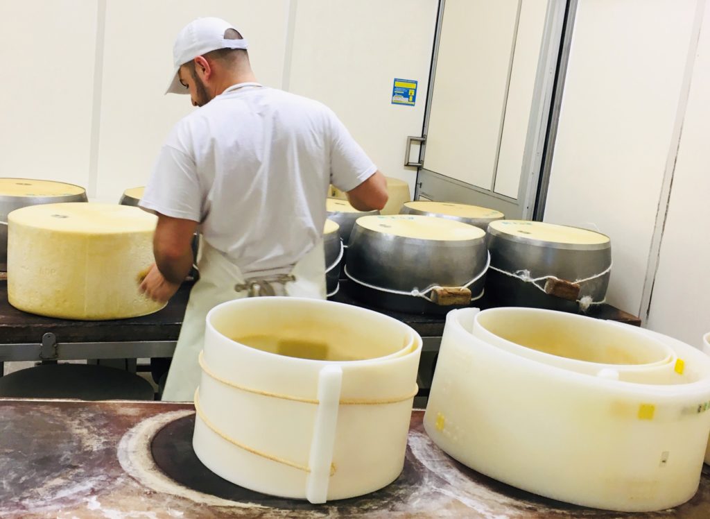 Einblicke in die Parmigiano Reggiano-Produktion auf der „Azienda Agricola Biologica Iris“ bei Parma 31