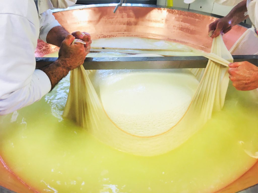 Einblicke in die Parmigiano Reggiano-Produktion auf der „Azienda Agricola Biologica Iris“ bei Parma 28
