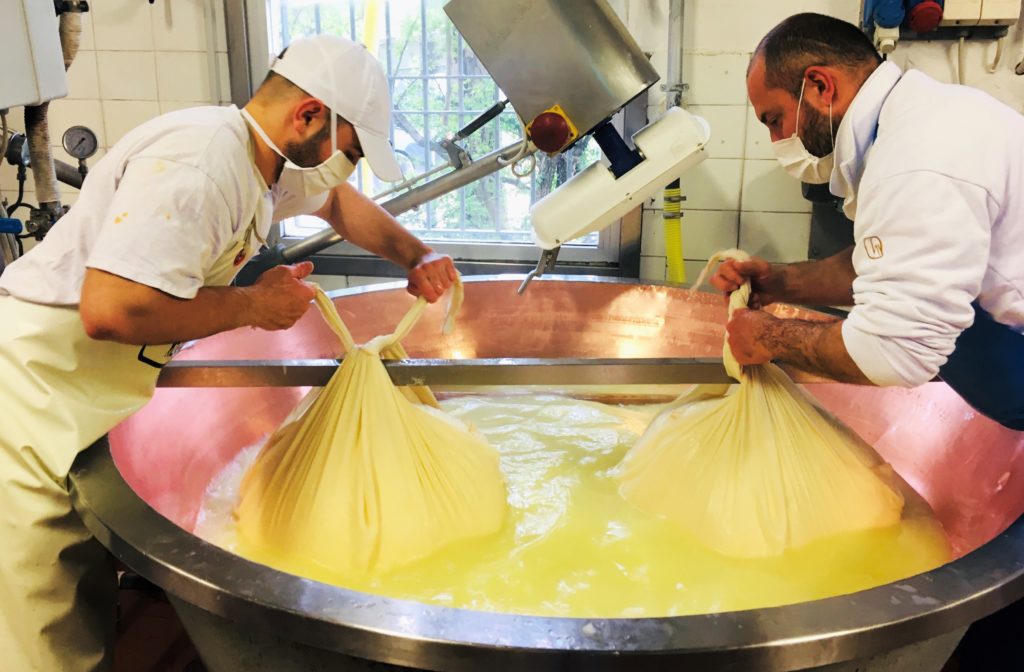 Einblicke in die Parmigiano Reggiano-Produktion auf der „Azienda Agricola Biologica Iris“ bei Parma 30