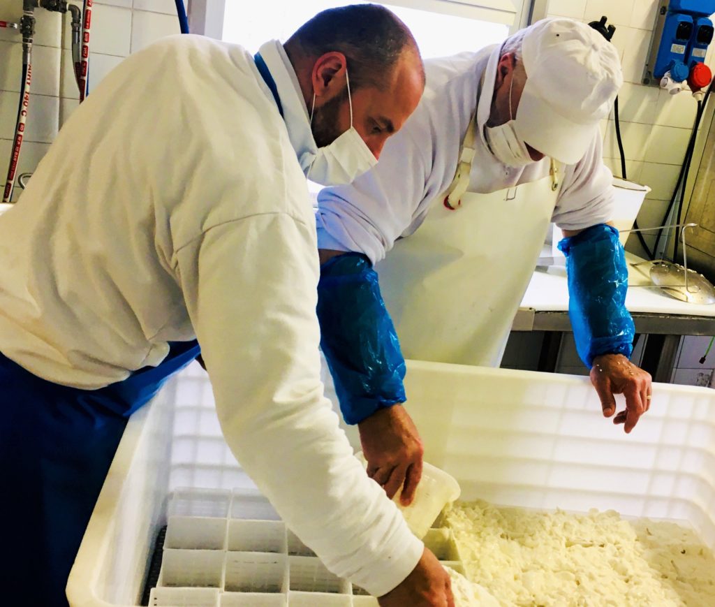 Einblicke in die Parmigiano Reggiano-Produktion auf der „Azienda Agricola Biologica Iris“ bei Parma 34