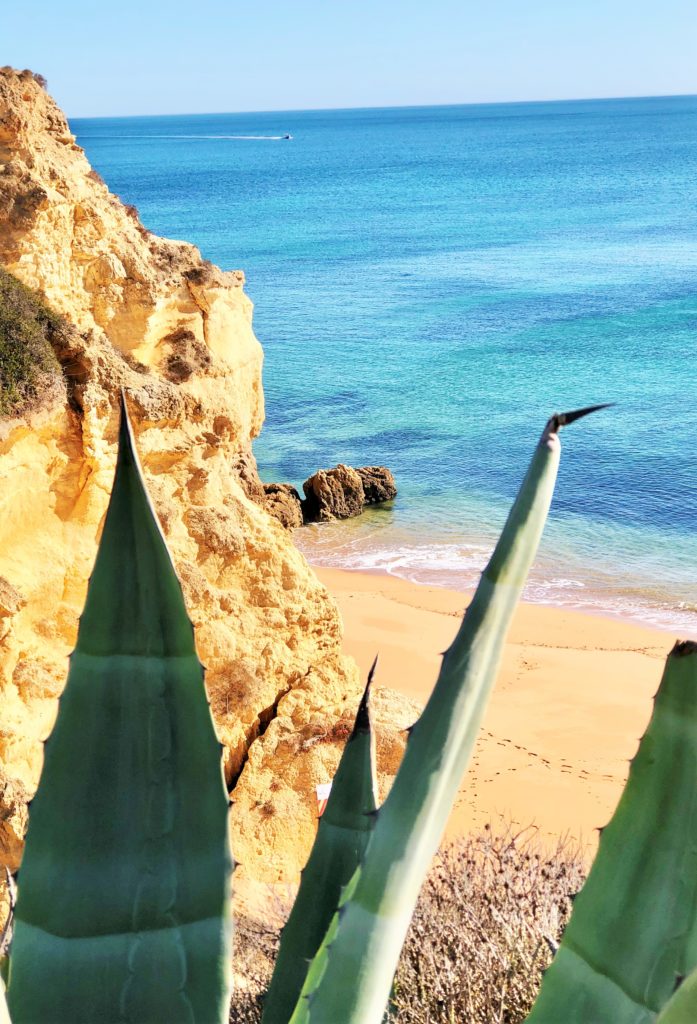 Sprung nach Süden: Banges Warten in der Algarve 33