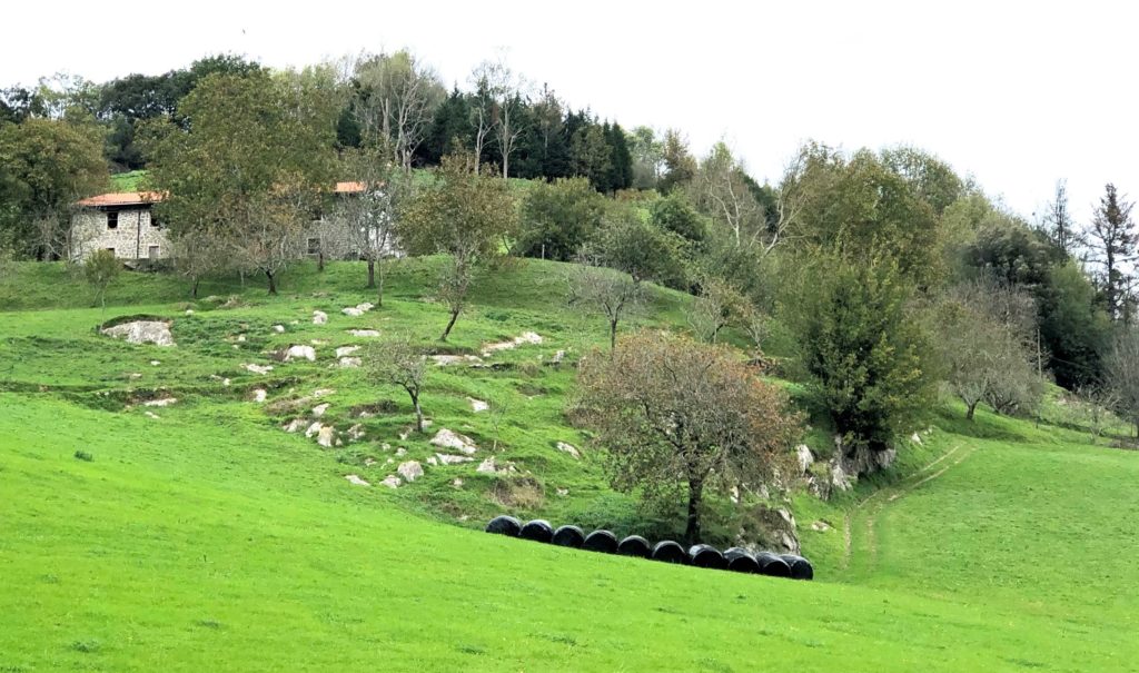 Baskenland, Asturien, Kantabrien und Galicien: Der grüne Norden Spaniens 16