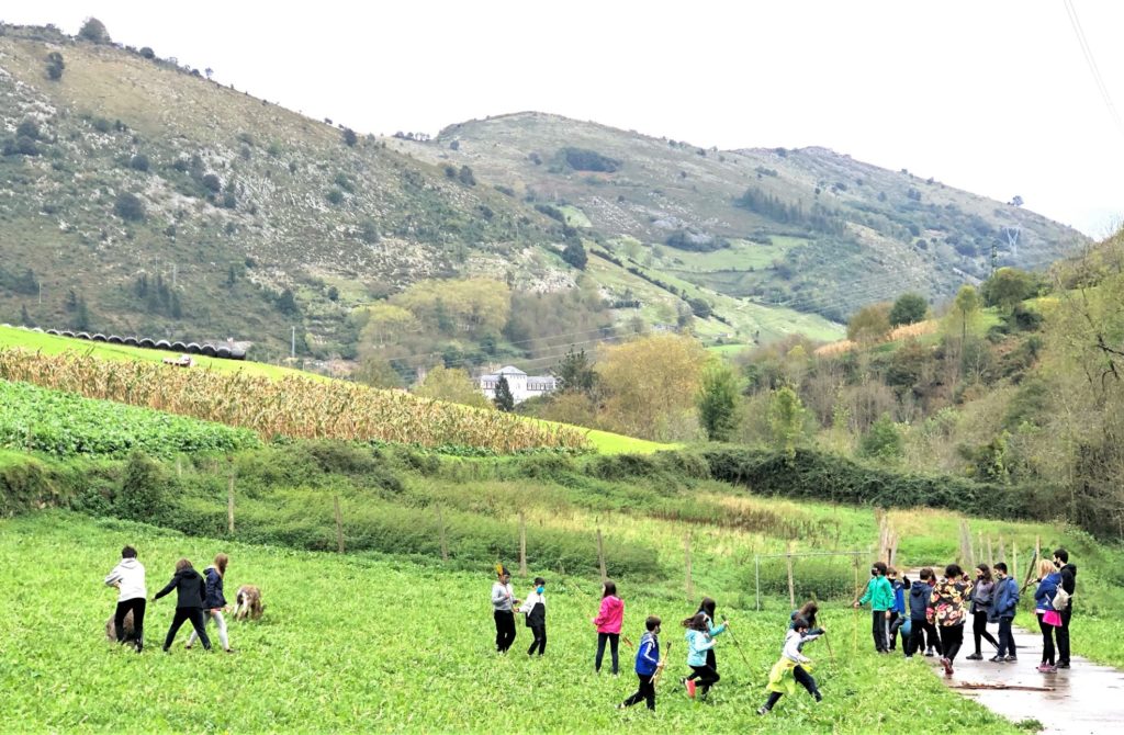 Baskenland, Asturien, Kantabrien und Galicien: Der grüne Norden Spaniens 10