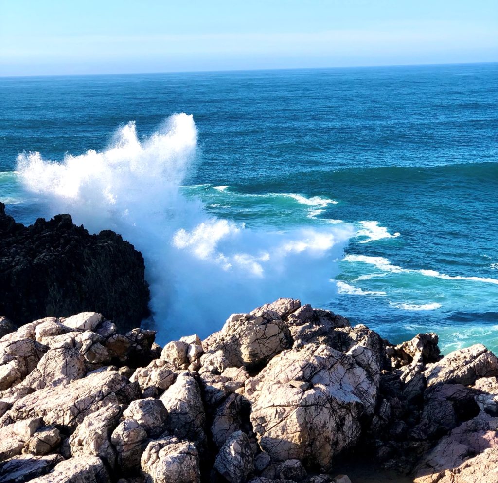 Wellen, Wind und wilde Dünen: Die Costa Vicentina 5
