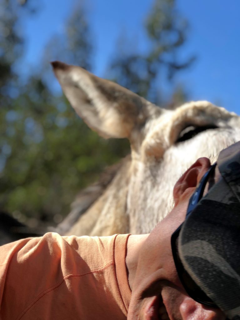 Der mit den Langohren wandert: Robert und sein Happy Donkeys-Projekt 24