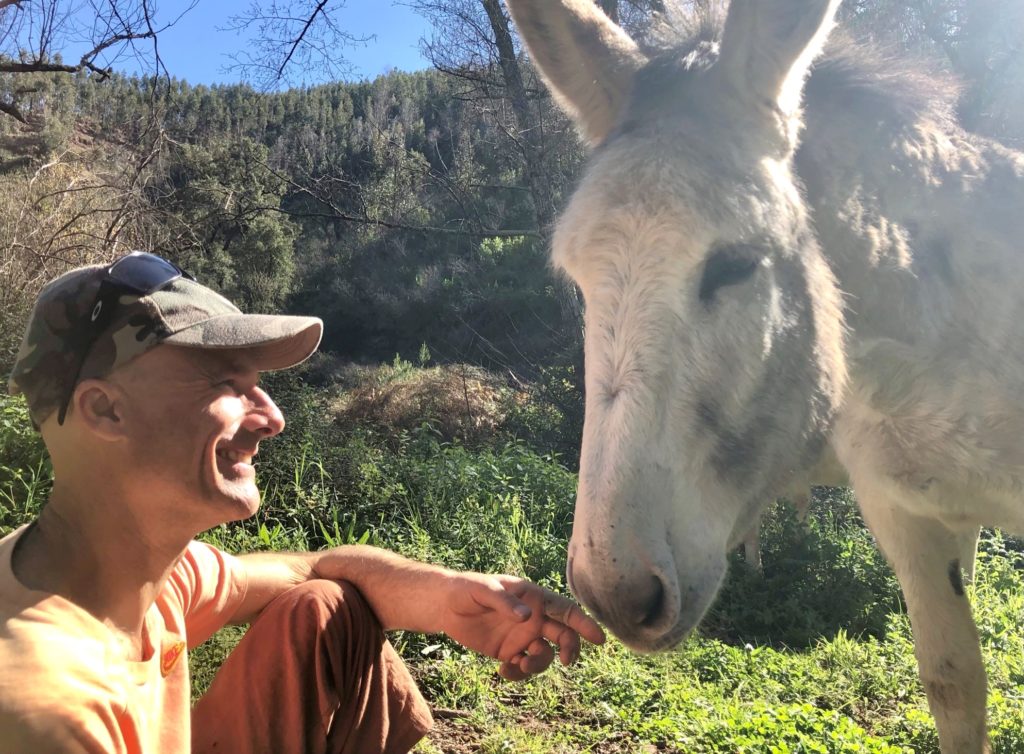 Der mit den Langohren wandert: Robert und sein Happy Donkeys-Projekt 22