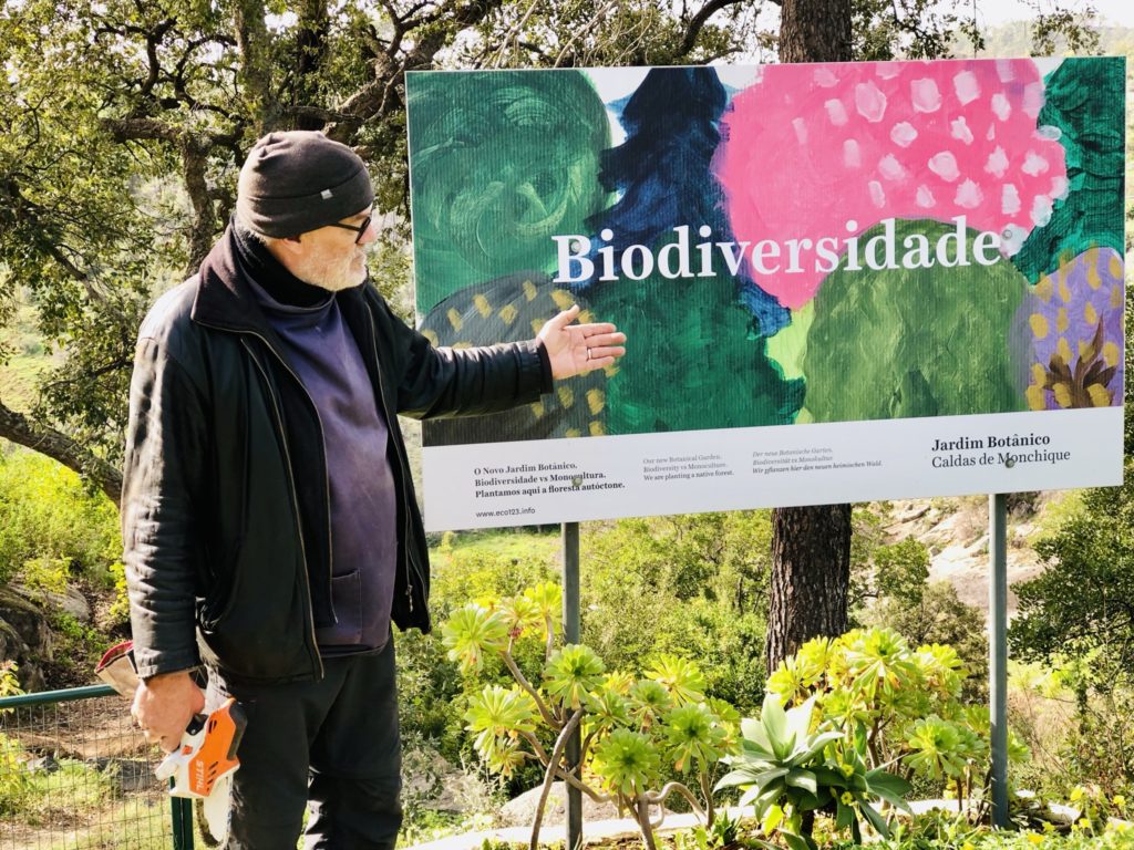 Die grüne Geißel Portugals: Eukalyptus-Monokulturen befeuern die Waldbrände 19