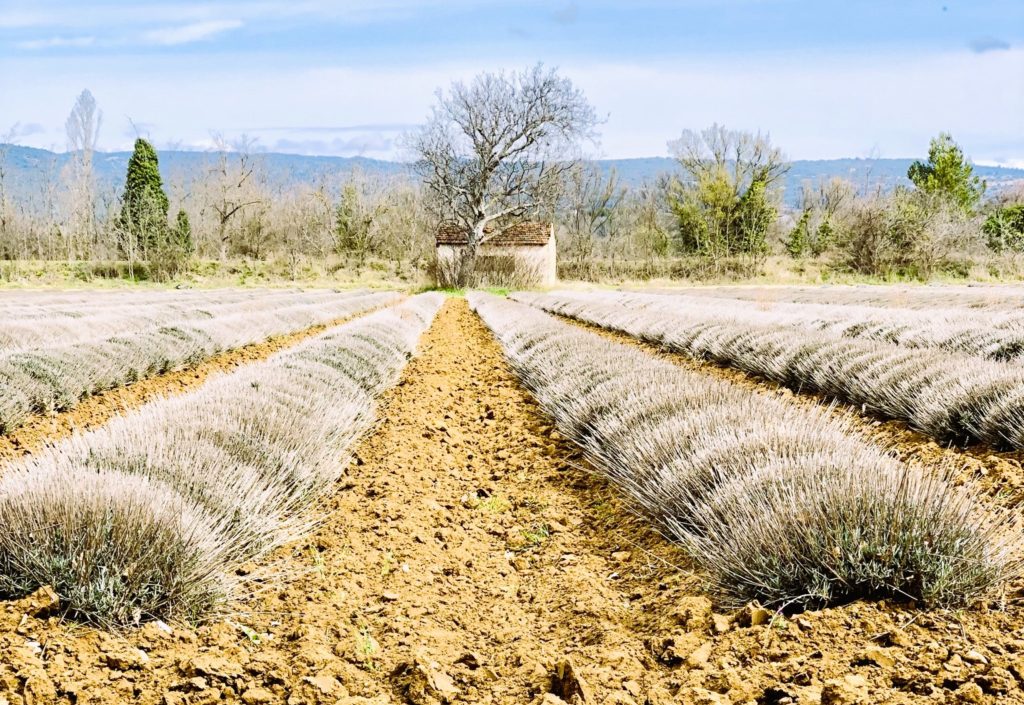 Schön und charmant – doch lichtdurchflutet ist die Provence im März noch nicht 25
