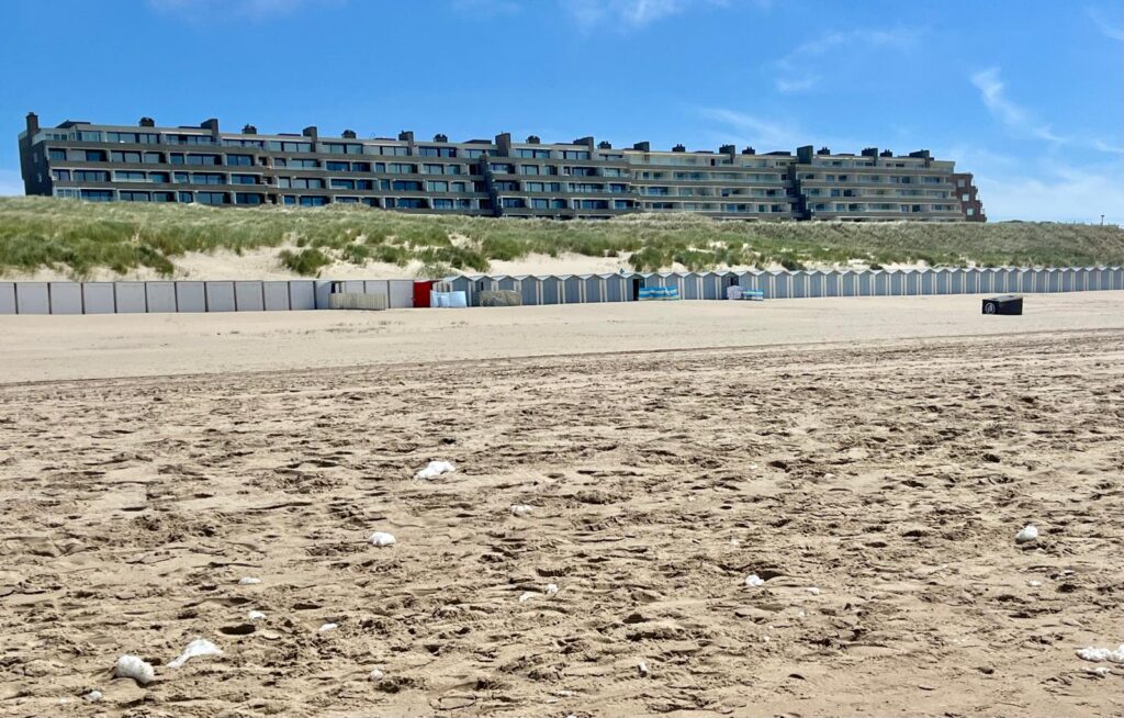 Noord Holland: 35 Kilometer Sandstrand, hohe Dünen und eine steife Brise 22 Noord Holland: 35 Kilometer Sandstrand, hohe Dünen und eine steife Brise 22
