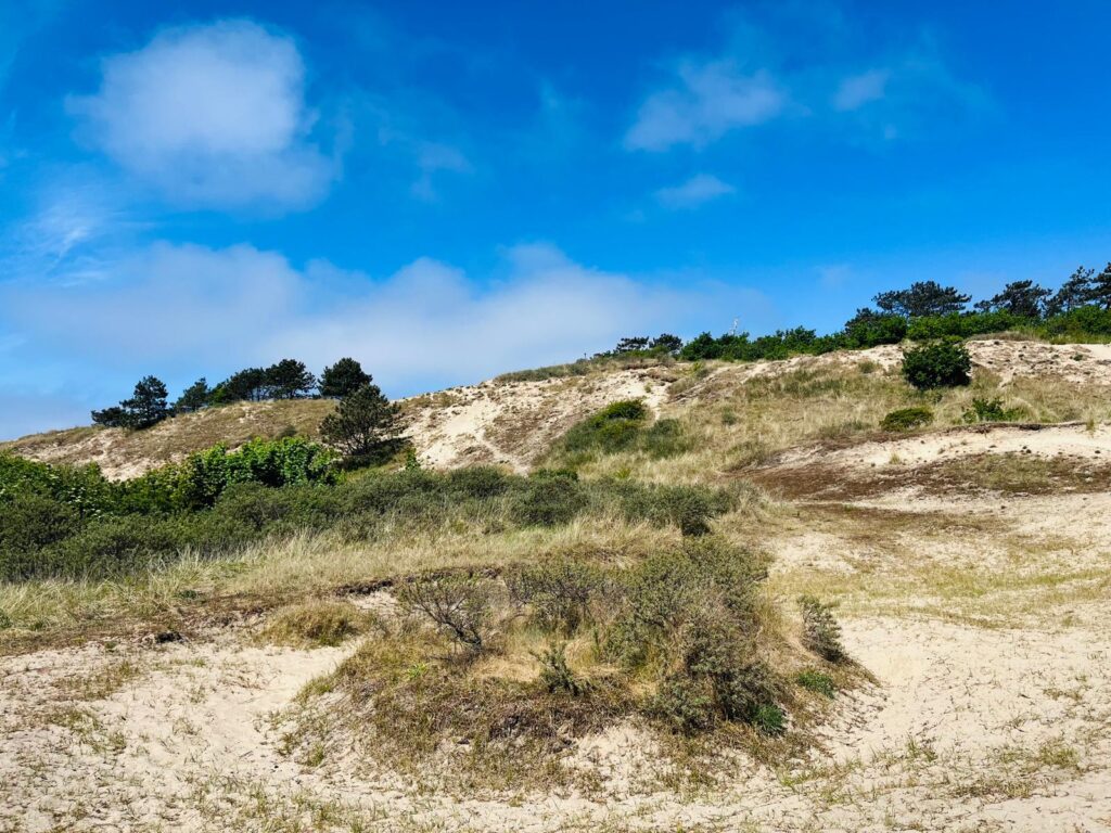 Noord Holland: 35 Kilometer Sandstrand, hohe Dünen und eine steife Brise 34 Noord Holland: 35 Kilometer Sandstrand, hohe Dünen und eine steife Brise 34