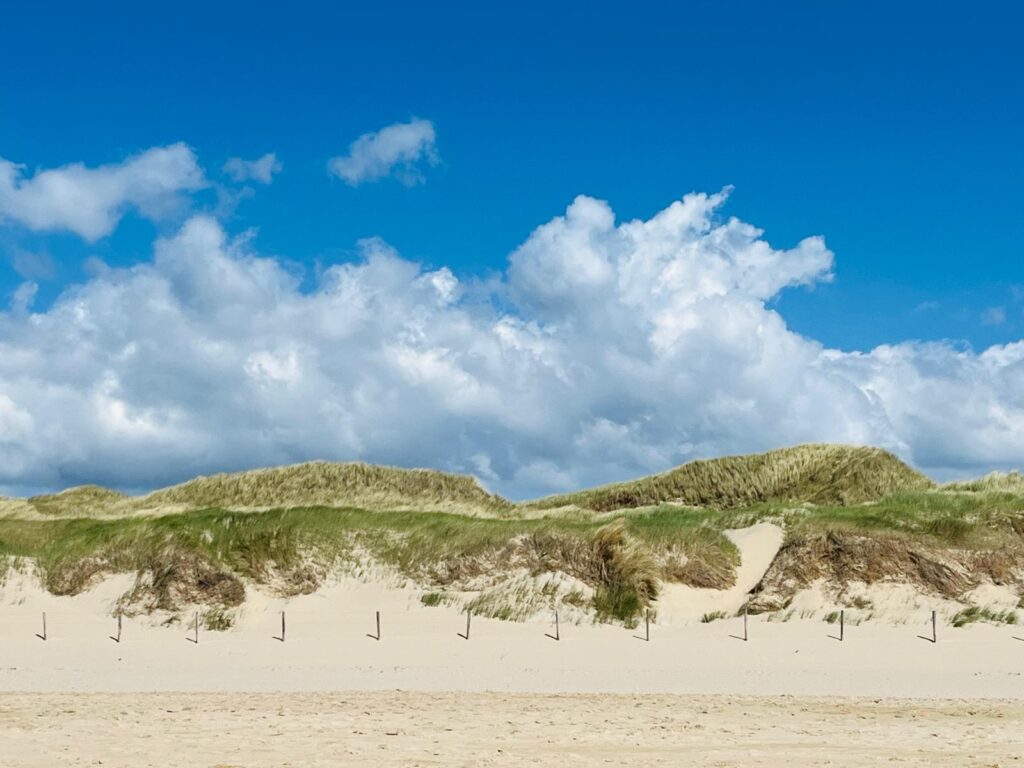 Noord Holland: 35 Kilometer Sandstrand, hohe Dünen und eine steife Brise 4 Noord Holland: 35 Kilometer Sandstrand, hohe Dünen und eine steife Brise 4