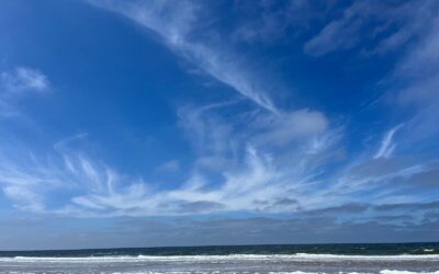 Noord Holland: 35 Kilometer Sandstrand, hohe Dünen und eine steife Brise