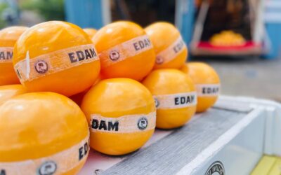 Alles Käse? Mit dem Fiets nach Edam