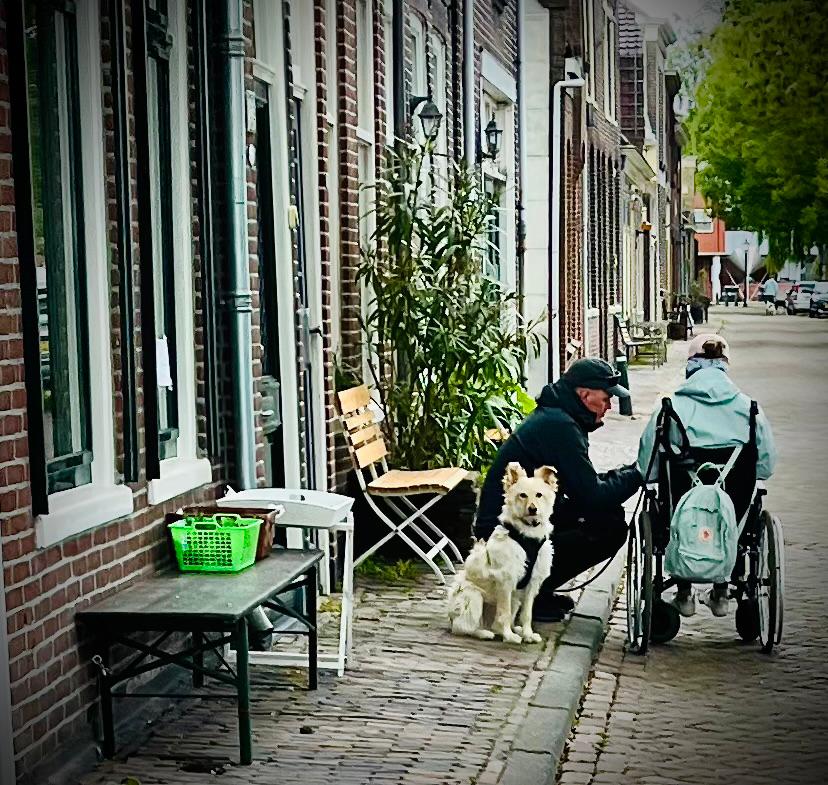 Ein steinernes Dromedar und jede Menge Backstein: Enkhuizen am IJsellmeer 13 Ein steinernes Dromedar und jede Menge Backstein: Enkhuizen am IJsellmeer 13